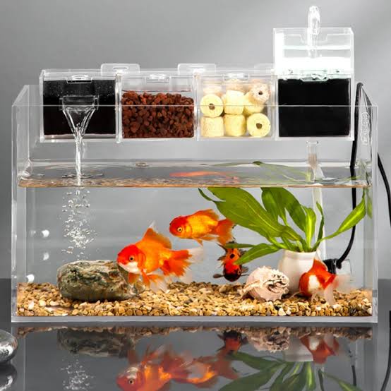 Aquarium Acrylic Box
